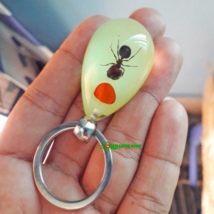 Luminous Large Ant Keyring Glow in the Dark Fluorescent Key Ring Key Holder